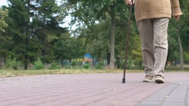 Sopa parkı olan aktif kadın emekliler, sağlıklı eğlence, emeklilik.