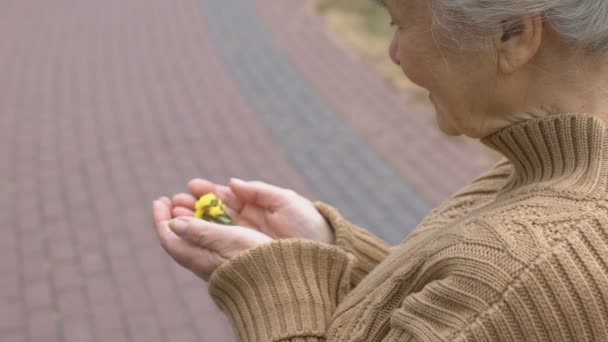 Sarı çiçekleri elinde tutan neşeli yaşlı kadın doğayla bağın tadını çıkarıyor. — Stok video