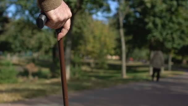 Caballero mayor con parque de bastones, recreación saludable al aire libre, pensión — Vídeos de Stock