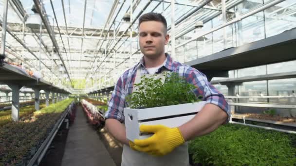 Jovem agricultor segurando caixa de mudas em estufa, desenvolvimento de negócios de inicialização — Vídeo de Stock