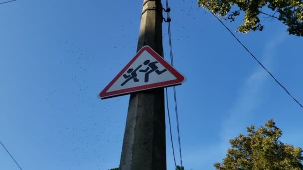 Children crossing traffic sign, birds flying blue sky, road safety regulations — Stock Video