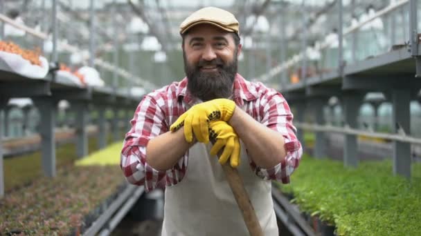 Fermier travailleur souriant à la caméra en serre, emploi dans l'agriculture — Video