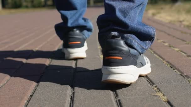 Man legs sport shoes walking park asphalt, sport lifestyle, outdoor activity — Stock Video