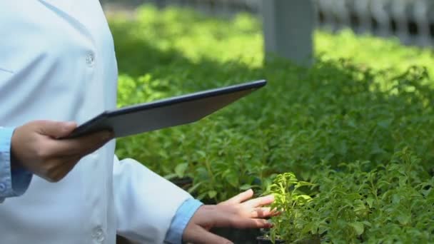 Vrouwelijke biologie specialist onderzoekt serre planten typen informatietablet — Stockvideo