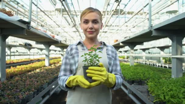 Vacker kvinna ler och håller blomkruka i växthus, trädgårdsbranschen — Stockvideo