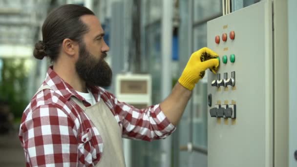 Pracovník zahajující systém řízení a zavlažování klimatu, skleníkové technologie — Stock video