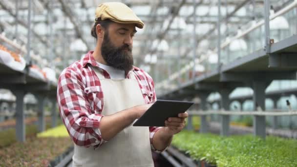 Agricultor que utiliza la aplicación de agricultura en la tableta, sistema de riego inteligente invernadero — Vídeo de stock
