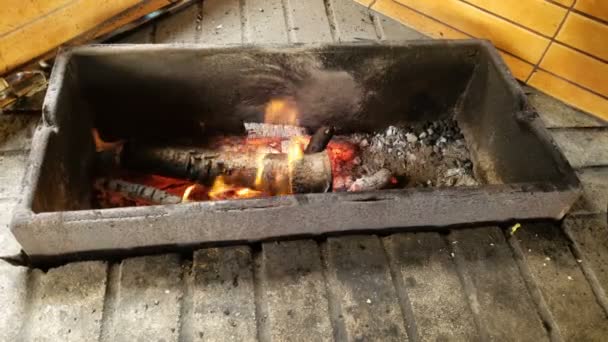 Legni ardenti nel fuoco e piatti tradizionali caldi in pentola enorme, cucina di campagna — Video Stock