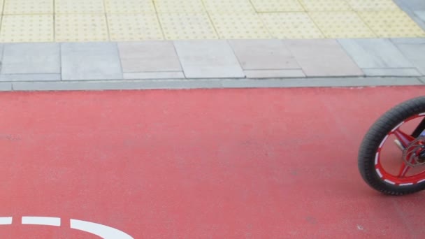 Liten flicka promenader med cykel på cykel körfält, barnslig hobby, fritid — Stockvideo