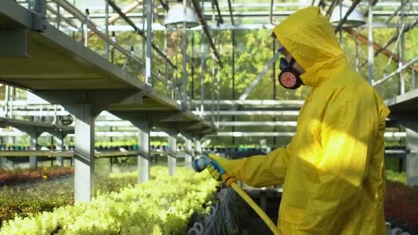 Homem de uniforme derramando pesticidas em plantas em estufa, líquido perigoso — Vídeo de Stock