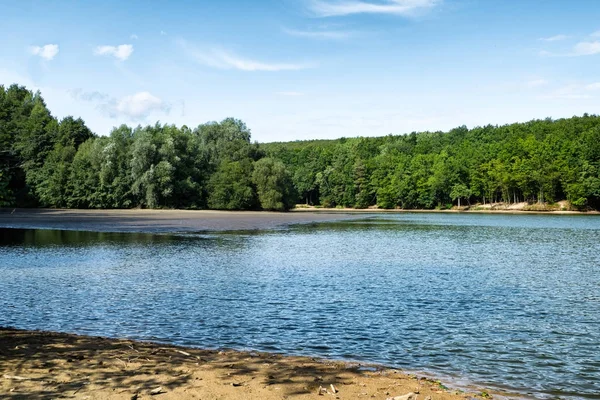 Güzel Orman Gölü kristal mavi su mavi gökyüzü ve bulutlar, çam ağaçları Slovakya ile.