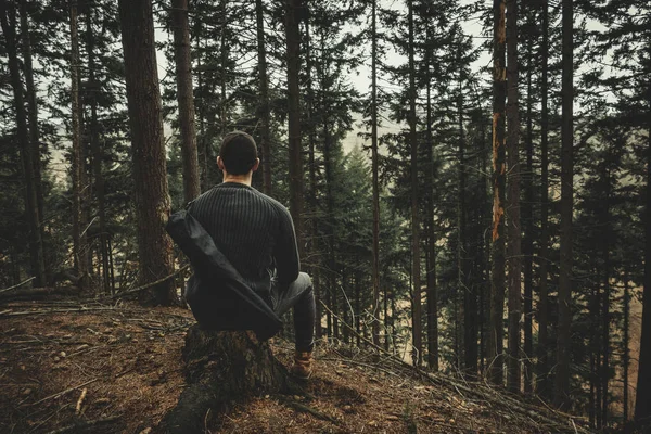 Genç adam (camper ve uzun yürüyüşe çıkan kimse) güdük'in iğne yapraklı orman üzerinde oturan ve muhteşem manzarayı. Ormanda tek başına - adam. Dinlenme ve ormanda rahatlatıcı.