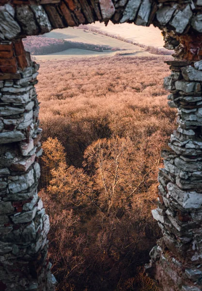 Orman ve vadideki eski ve eski harabelerin (Ghymes Castle) penceresinden bak. İlkbaharda ağaçlar ve çayırlar üzerinde manzaranın dikey fotoğrafı.