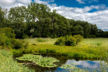 River Danube sulak Avusturya gölde, yatay