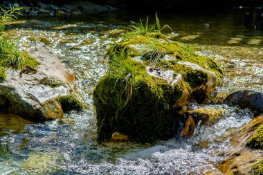 Creek hızlı akan temiz su ile