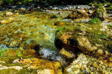 Creek hızlı akan temiz su ile