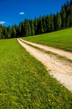 Terk edilmiş çakıl yolda orman kaplı Valley Avusturya