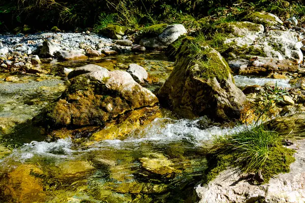 Creek Com Água Clara Fluxo Rápido — Fotografia de Stock