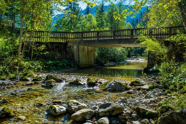 Old Bridge Sunlit Mountain Creek Clear Water Austria — Stock Photo, Image