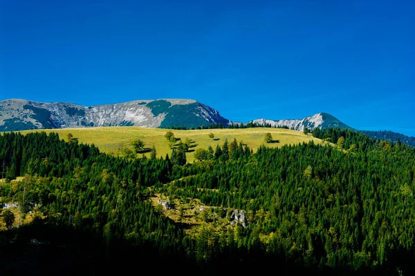 Alpesi Táj Hegyek Erdők Ausztria — Stock Fotó