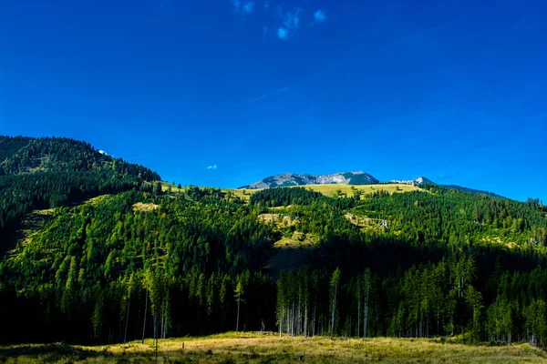 Alpesi Táj Hegyek Erdők Ausztria — Stock Fotó