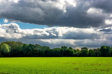 Güneşli çayır ve orman Thunderclouds ile