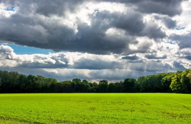 Güneşli çayır ve orman Thunderclouds ile