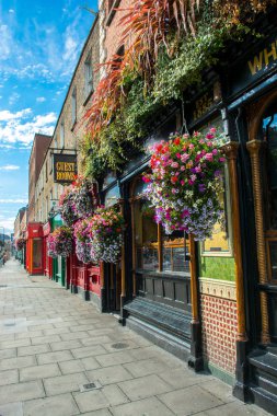 Dublin İrlanda pub