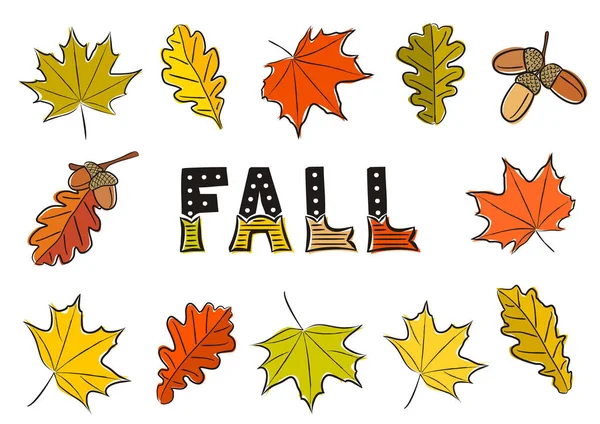 Eine Reihe Isolierter Herbstblätter Handgezeichnete Blätter Aus Ahorn Und Eiche — Stockvektor