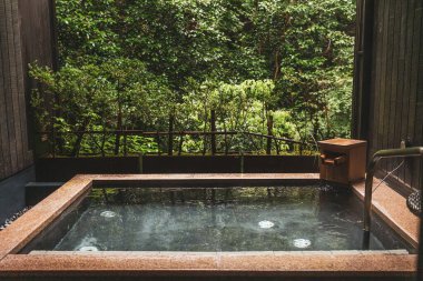 Sakinleştirici doğa manzaralı Japon stili onsen kaplıcası