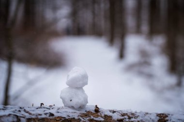 Sonbahar ormanı geçmişi olan bir odun yığını üzerinde küçük bir kardan adam..