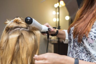 Esmer Kızıl saçlı Kuaför sanatçı kıvırcık saç modeli b için yapma