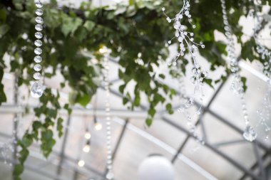 Taze doğa bitki buket kompozisyon bir cam bir tavanda 