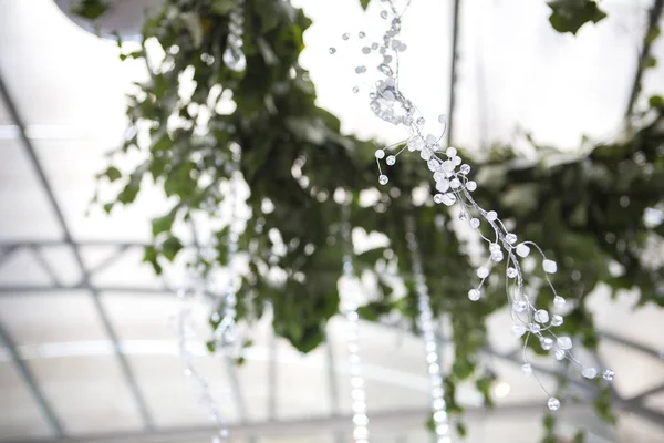 Fresh nature herb bouquet composition on a ceiling with a glass