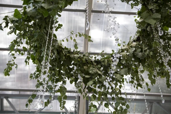 Composição de buquê de ervas de natureza fresca em um teto com um copo — Fotografia de Stock