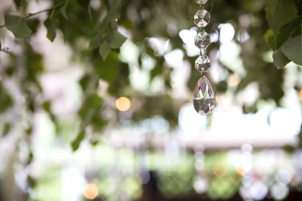 La naturaleza fresca la composición del ramo de hierbas en el techo con el cristal —  Fotos de Stock