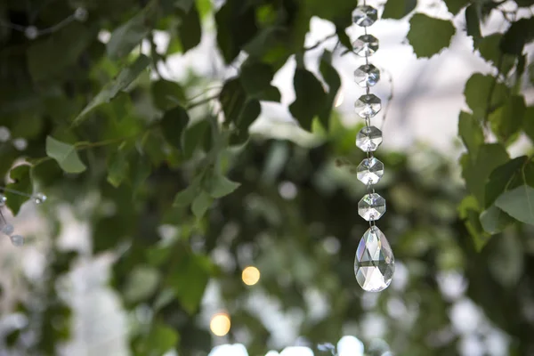 La naturaleza fresca la composición del ramo de hierbas en el techo con el cristal —  Fotos de Stock