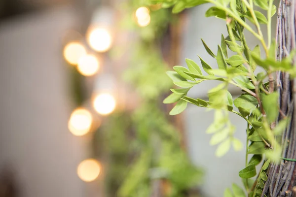 Wreath natural garland decorated with bulb lights on a wooden ba — Stock Photo, Image