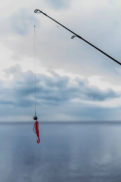 Fishing on a lake as a hobby, trying to catch carp on spinning r — Stock Photo, Image