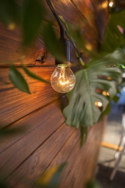 Anthurium ile arka bahçesinde üzerinde bir düğün töreni için dekorasyon 