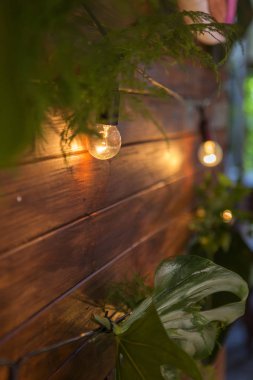 Anthurium ile arka bahçesinde üzerinde bir düğün töreni için dekorasyon 