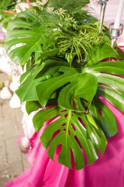 Tablolar, pl ile arka bahçesinde üzerinde bir düğün töreni için dekorasyon