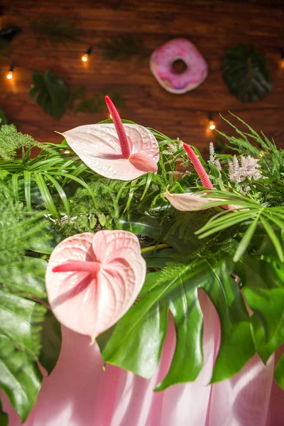 Tablolar, pl ile arka bahçesinde üzerinde bir düğün töreni için dekorasyon