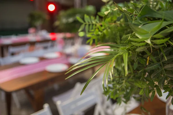 Tablolar, pl ile arka bahçesinde üzerinde bir düğün töreni için dekorasyon