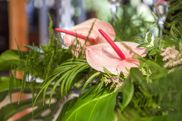 Tablolar, pl ile arka bahçesinde üzerinde bir düğün töreni için dekorasyon