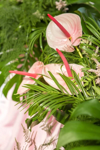 Decoração para uma cerimônia de casamento em um quintal com mesas, pl — Fotografia de Stock