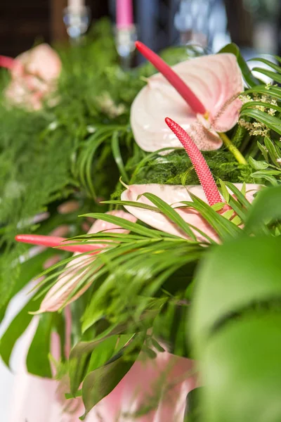 Tablolar, pl ile arka bahçesinde üzerinde bir düğün töreni için dekorasyon