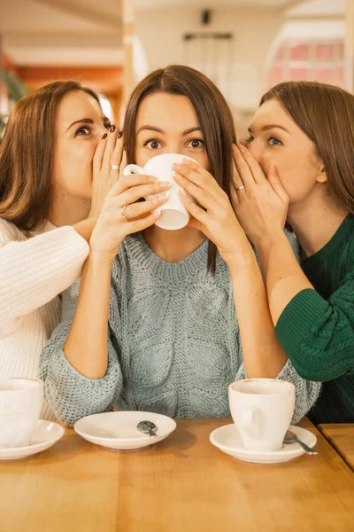 Μελαχρινή νεαρή καυκάσιες γυναίκες σε casual sitt πουλόβερ και τζιν — Φωτογραφία Αρχείου