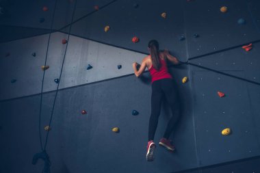 İnce yapılı esmer kadın spor salonunda egzersiz yapıyor, ağırlık kaldırıyor.