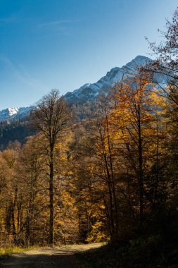 Sonbaharda karlı dağ zirveleri